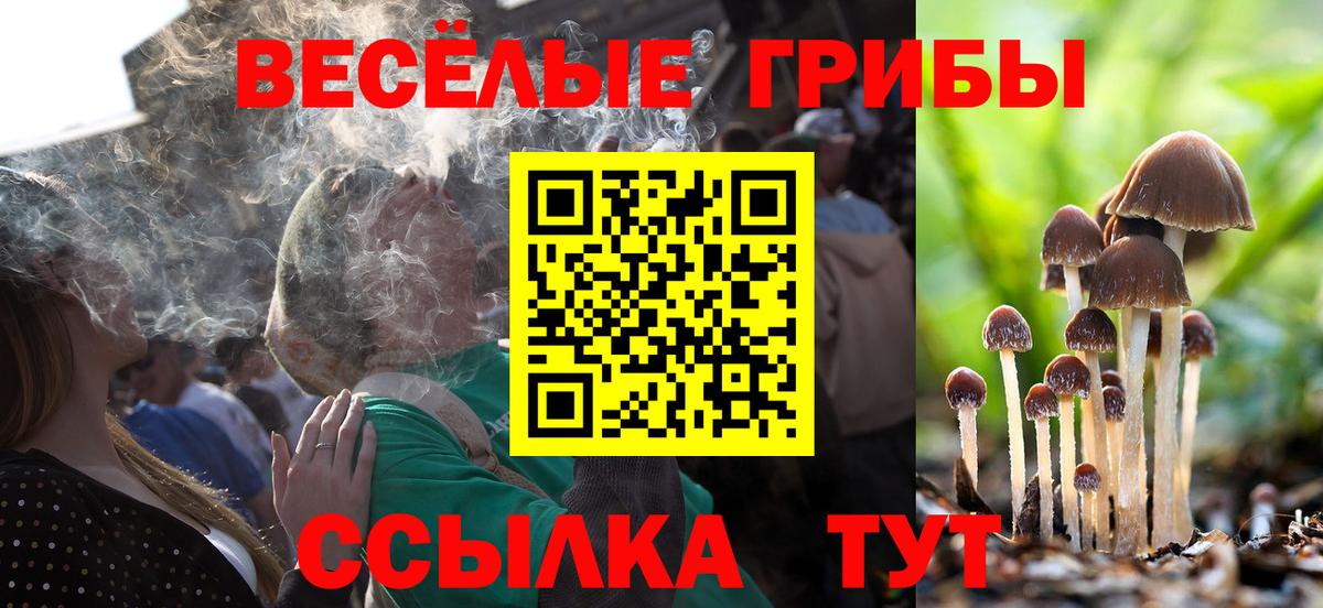 Ханты-Мансийск  Галлюциногенные грибы Psilocybe  Вход с VPN 